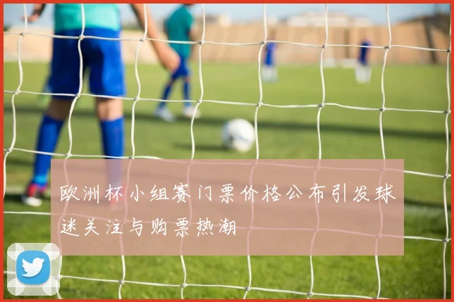 欧洲杯小组赛门票价格公布引发球迷关注与购票热潮