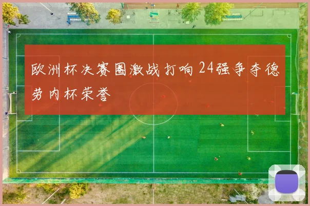 欧洲杯决赛圈激战打响 24强争夺德劳内杯荣誉