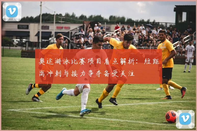 奥运游泳比赛项目看点解析：短距离冲刺与接力争夺备受关注