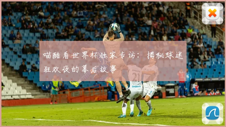 喵酷看世界杯独家专访：揭秘球迷狂欢夜的幕后故事