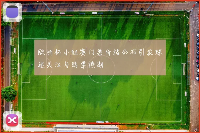 欧洲杯小组赛门票价格公布引发球迷关注与购票热潮