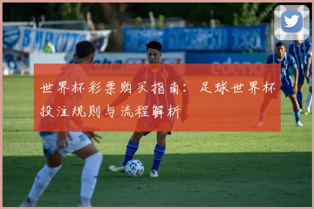 世界杯彩票购买指南：足球世界杯投注规则与流程解析