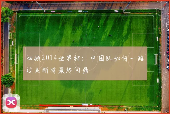 回顾2014世界杯：中国队如何一路过关斩将最终问鼎