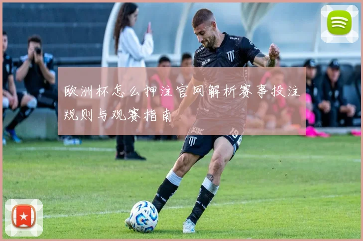 欧洲杯怎么押注官网解析赛事投注规则与观赛指南