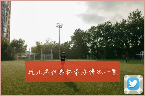 近几届世界杯举办情况一览