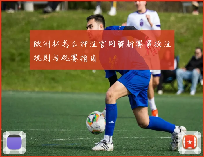 欧洲杯怎么押注官网解析赛事投注规则与观赛指南