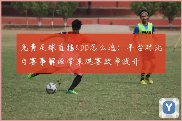 免费足球直播app怎么选：平台对比与赛事解读带来观赛效率提升