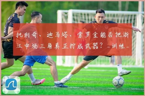 托利奇、迪马塔、索罗金能否把浙江中场三角真正拧成武器？_训练_联赛_外援