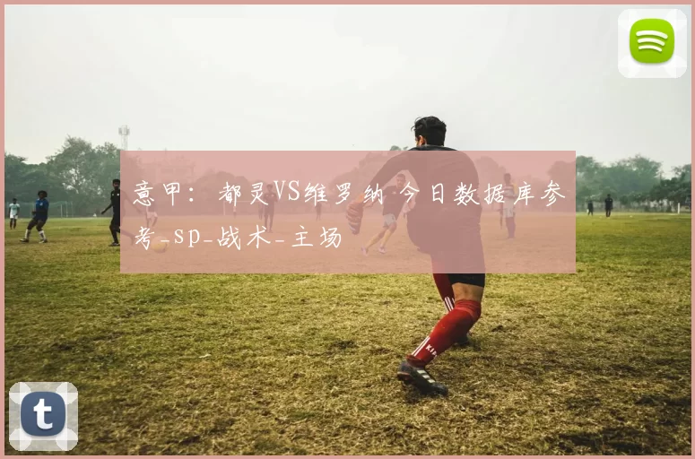 意甲：都灵VS维罗纳 今日数据库参考_sp_战术_主场